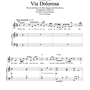 Via Dolorosa (vocal)